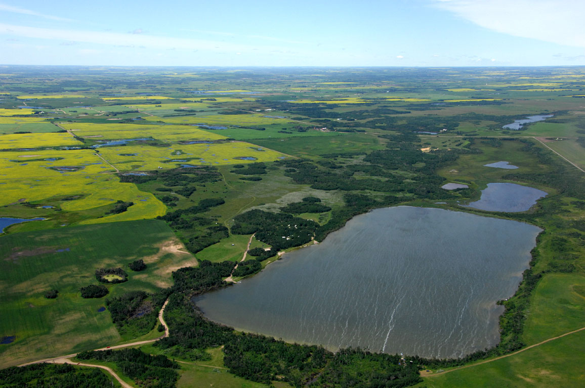 Picnic Lake